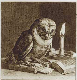 wise old owl1